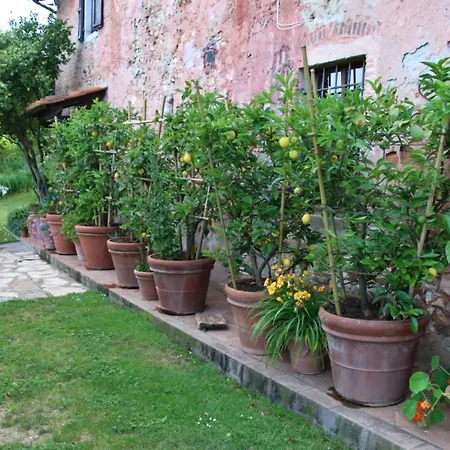 Casa Gaia Casa rural Lucca
